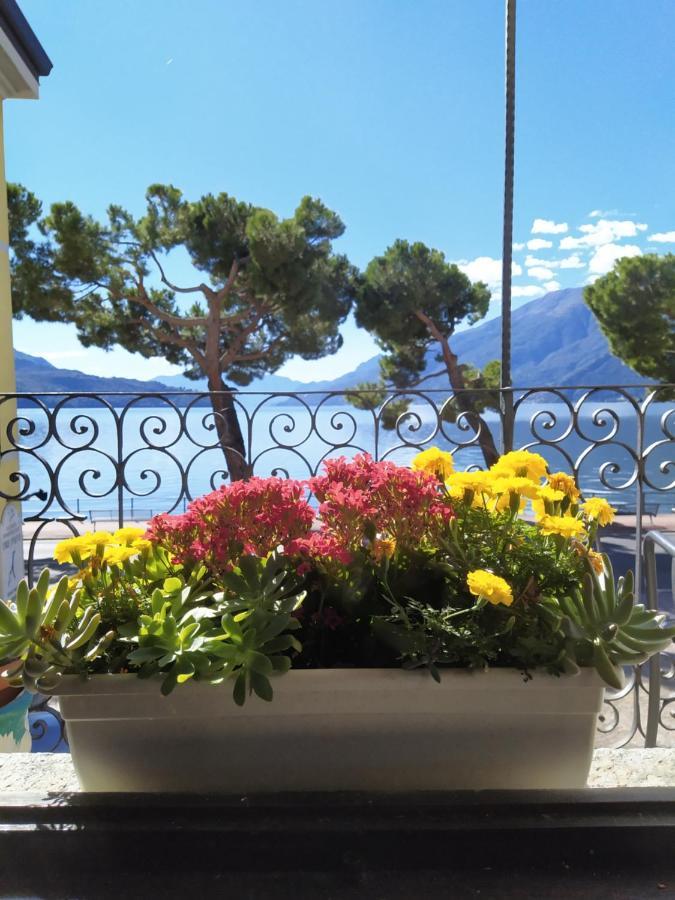 Casa D'Epoca Fronte Lago A Domaso Lago Di Como Exterior foto